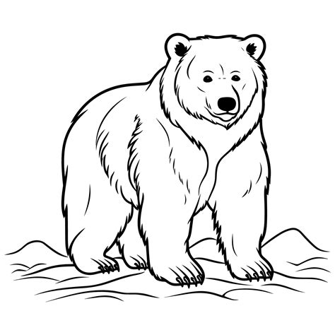 Bear coloring page for kids 25947053 Vector Art at Vecteezy