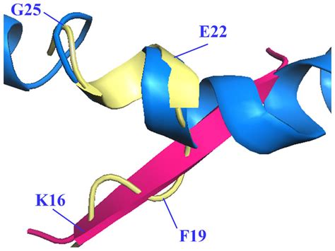 Different conformations of the mid-region of the Aβ peptide. Aβ... | Download Scientific Diagram