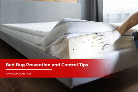 Bed Bug Prevention and Control Tips - Pro-Pest Corporation