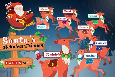 List of Santa's Reindeer Names in Order - Facts.net