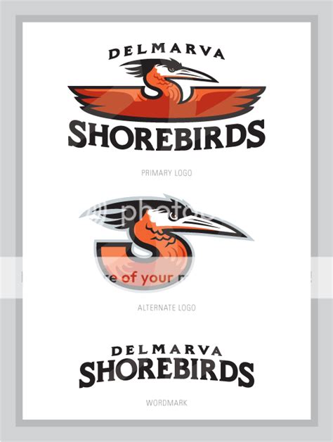 Delmarva Shorebirds - Concepts - Chris Creamer's Sports Logos Community - CCSLC - SportsLogos ...