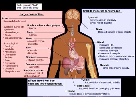 Thiamine, Vitamin B1 | Alcohol Related Thiamine Deficiency | Rehab Guide