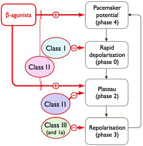 Vaughan-Williams classification Diagram | Quizlet