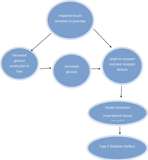 Type 2 Diabetes Pathophysiology Diagram