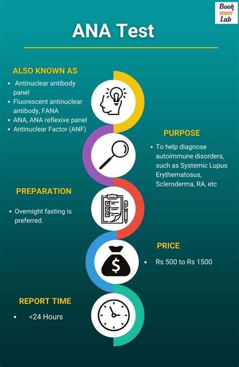 ANA Test: Purpose, Price, Procedure & Results [2024] • Bookmerilab