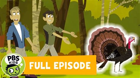 Wild Kratts | 🦃Happy Turkey Day! | PBS KIDS | WPBS | Serving Northern New York and Eastern Ontario