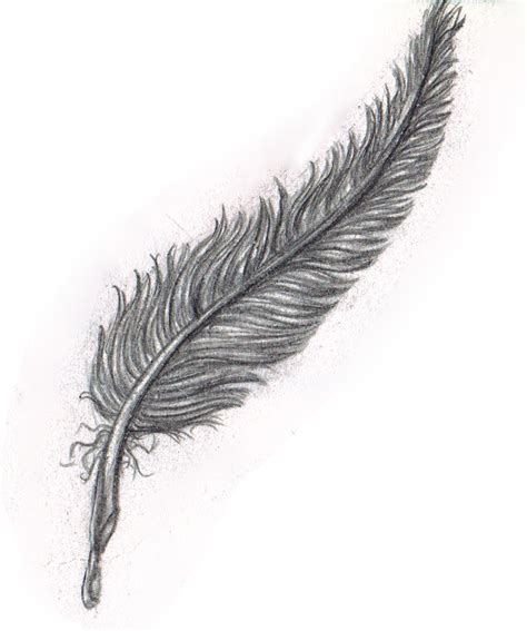 Feather Pen Sketch at PaintingValley.com | Explore collection of ...