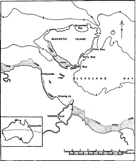 Figure 1 from FOODS AND FEEDING HABITS OF THE DUGONG, DUGONG DUGONG (ERXLEBEN), IN NORTHERN ...