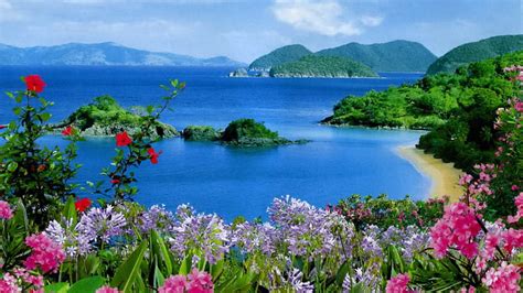 Beautiful Scenery Ocean View Mountains Rocks Plants Colorful Flowers ...