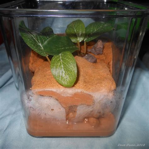 Formicarium DIY Try #1 - General Ant Keeping - Ants & Myrmecology Forum