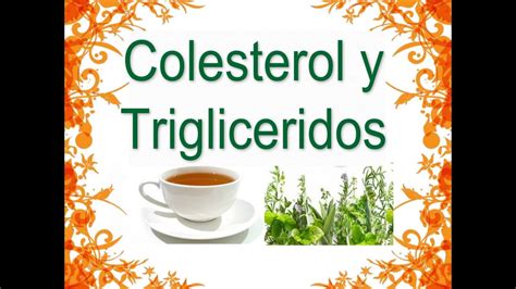 5 Remedios Caseros para el Colesterol y los Triglicéridos - ViYoutube