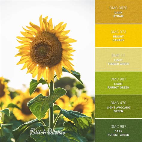 Sunflower Of Italy - Embroidery Color Palette (With Thread Codes)