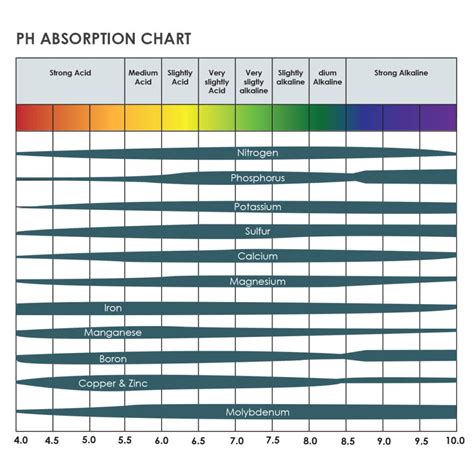 Nutrient Availability Chart