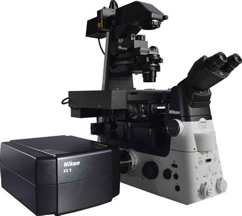 Mikroskop konfokalny/ Confocal microscope – PhoBiA — Photonics and Bionanotechnology Association