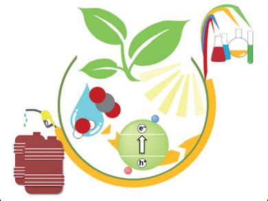 Challenges of Artificial Photosynthesis - ChemistryViews