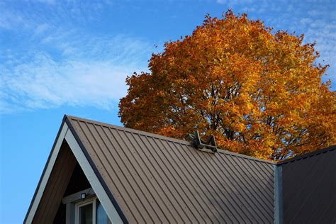 The Pros and Cons of Metal Roofing | Real Estate | U.S. News