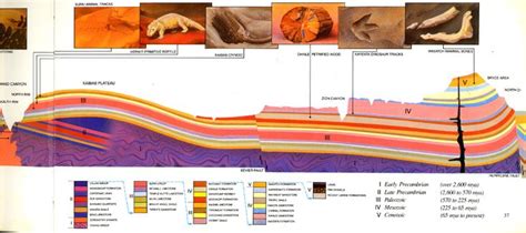 Plateau Formation Diagram | Geology, History facts, Diagram