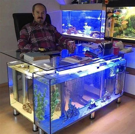 This office desk made out of fish tanks | Aquarium, Fish tank, Home aquarium