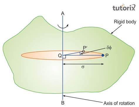 Rigid Body and Rigid Body Dynamics