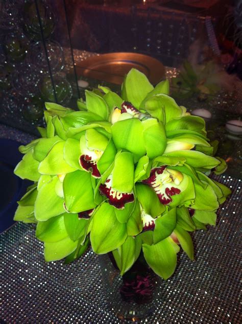 Green Orchids Green Orchid, Bouquets, Different Colors, Orchids, Plants ...