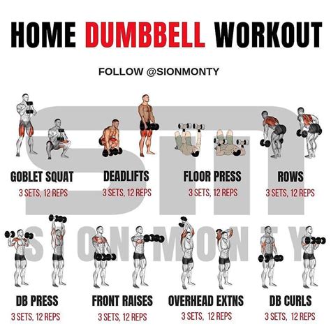 Daily Workout With Dumbbells - iGo Workout