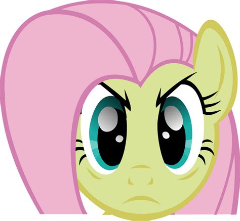 Fluttershy Stare by Triox404 on DeviantArt