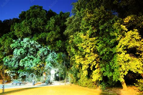 An avenue of the public park around the historic Capodimonte palace ...