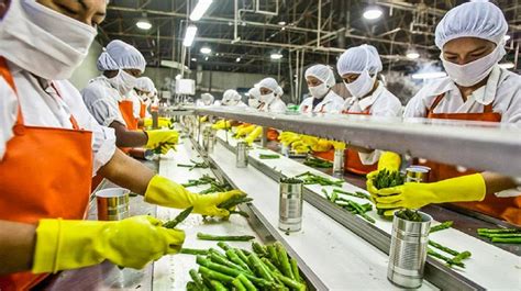 Agrofood Chamber Seeks Southern States to be Designated as ‘Food Processing Hubs’