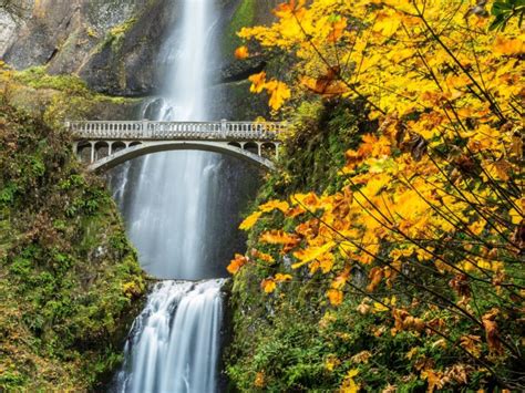 nature, Forest, Bridge, Autumn, Amazing, Beauty, Waterfall, Landscape ...