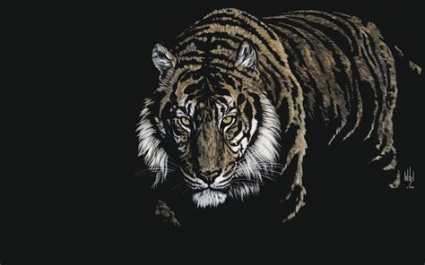 🔥 [49+] 3D Tiger Wallpapers | WallpaperSafari