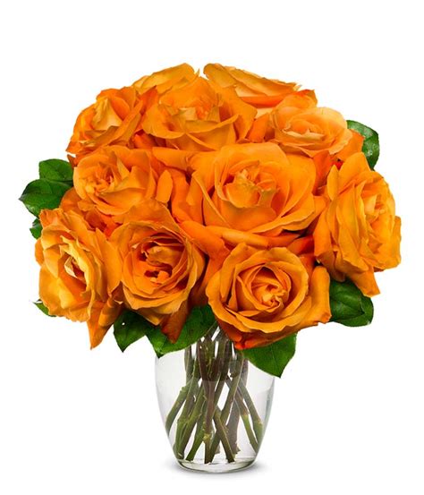 One Dozen Orange Roses at From You Flowers