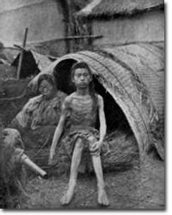 Mao's Great Famine: The History of China's Most Devastating Catastrophe ...