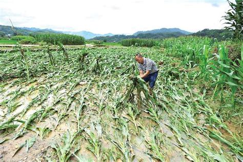 Biến đổi khí hậu đe dọa nông dân Việt Nam và nông nghiệp toàn cầu ...