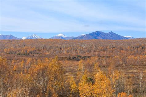 Forest In Autumn Colors And Eastern Mountains In The Background. Peninsula Kamchatka, Russia ...