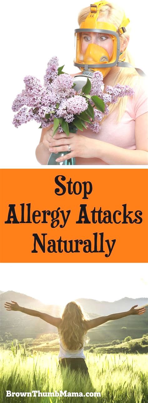 Best Working allergies remedies for kids. Tips Stop an allergy attack naturally, without the ...