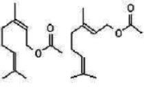 Ex-Palmarosa Geranyl Acetate Suppliers, USA Canada