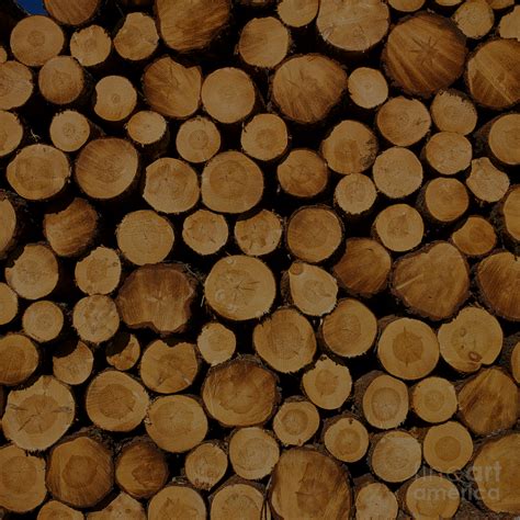 firewoodlogs | Firewood Logs Great Yarmouth Norfolk