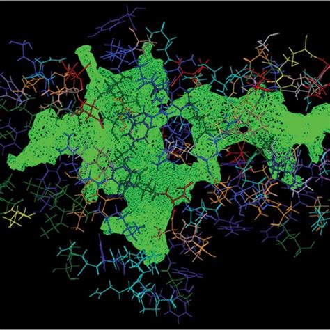 Secondary structure of COX-II enzyme showing its co-factors and cavity 1. | Download Scientific ...