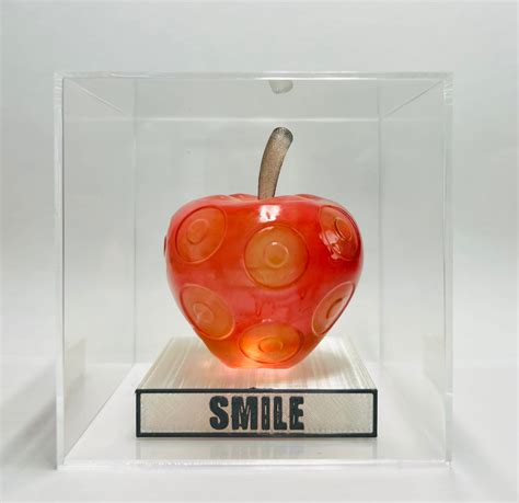 Artificial Devil Fruit SMILE Prop - Etsy