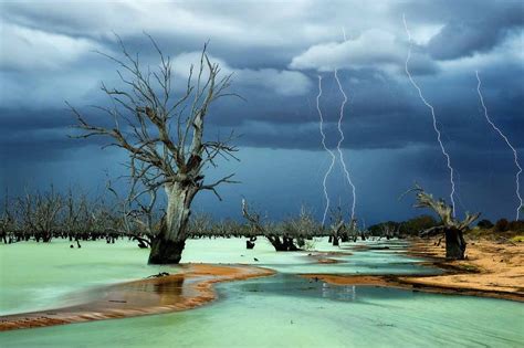 Winners of National Geographic Photography Contest - Business Insider