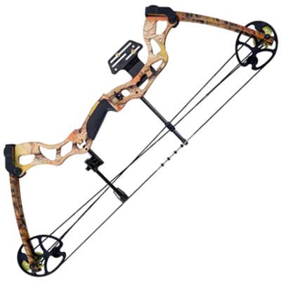 5 Best Hunting Compound Bows Reviews 2020 | Archer's Supplies