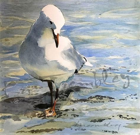 Wading Seagull Watercolor art print shore bird wading | Etsy