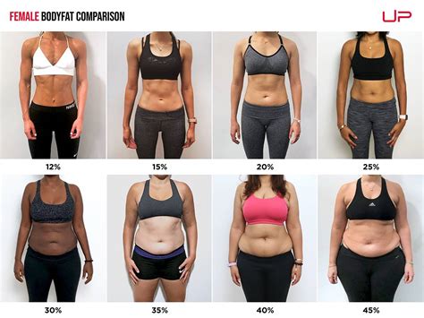 Female Body Fat Percentage Comparison [Visual Guide]