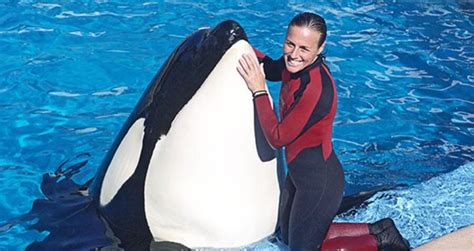 Dawn Brancheau, The SeaWorld Trainer Killed By A Killer Whale