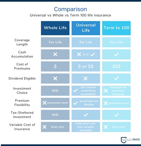 Guide to Life Insurance Terms and Product Types [2024] - Protect Your Wealth