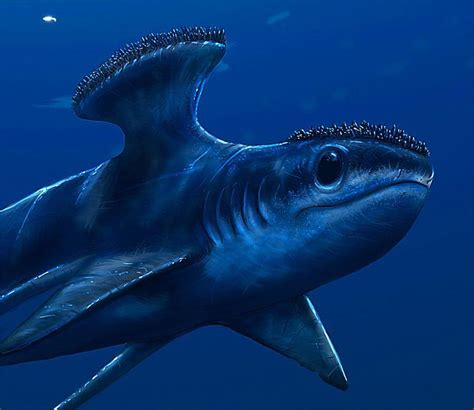 ecology - Devonian Fish Diversity--What Would it Have Looked Like? - Biology Stack Exchange