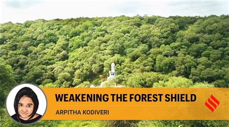 Proposed amendments to the Forest Conservation Act are a bad idea | The Indian Express