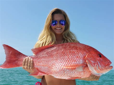 Sc Red Snapper Season 2024 - Fifi Orella