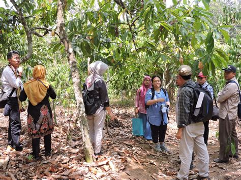 A glimpse of the perceived impacts of Community-based Forest Management (CBFM) in Indonesia | AFoCO