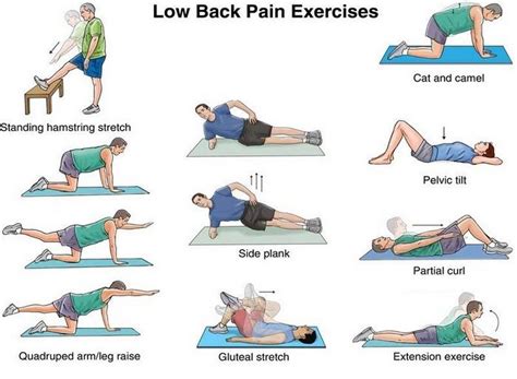 Low Back Strength and Flexibility Exercises to Do At Home or Work ...